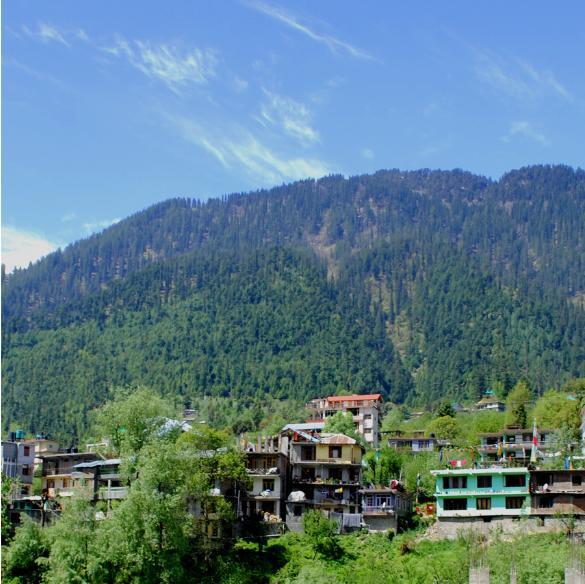 Hotel Green View - Manali (Himachal Pradesh) — Photos 1