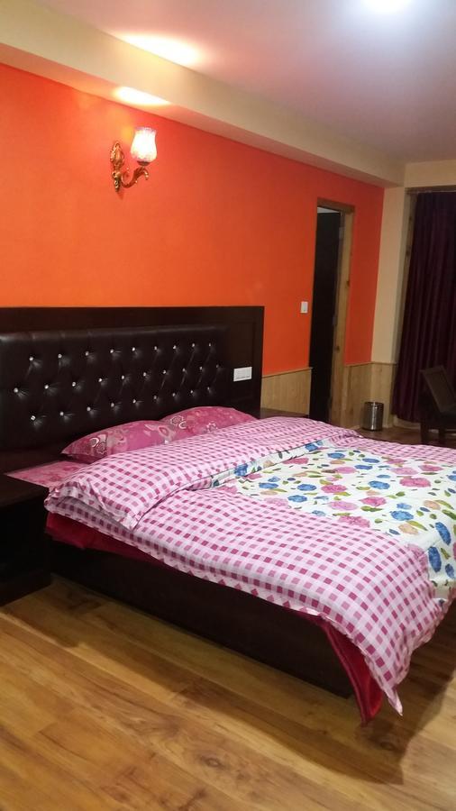 Hotel Green View - Manali (Himachal Pradesh) — Photos 2